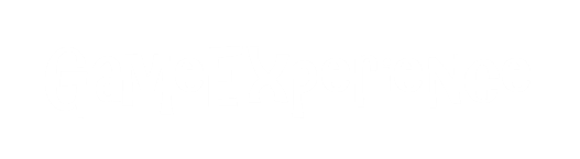 GameExperience