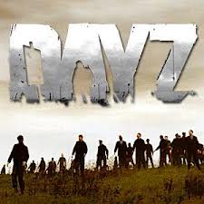 DayZ Wandertagebuch 8