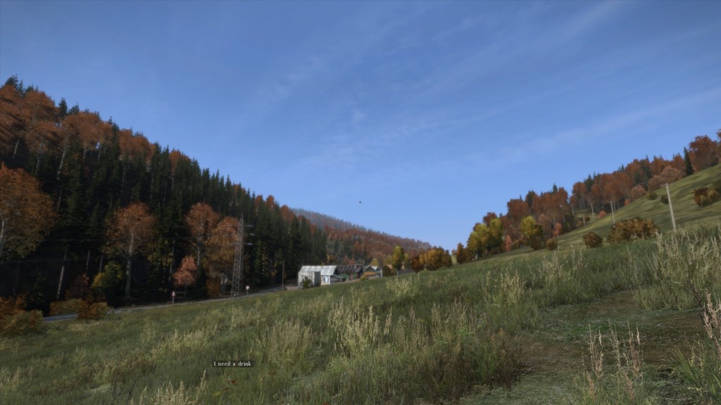 DayZ Standalone 1