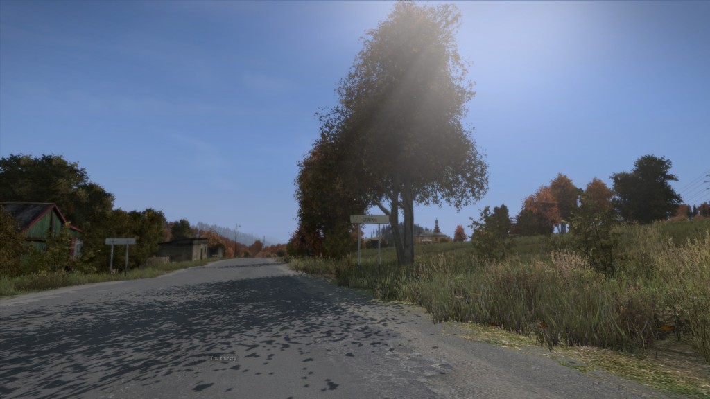 DayZ Wandertagebuch Tour 1 Staroye